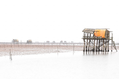 Clam Fishing Huts, Vietnam - Debbie Davies
