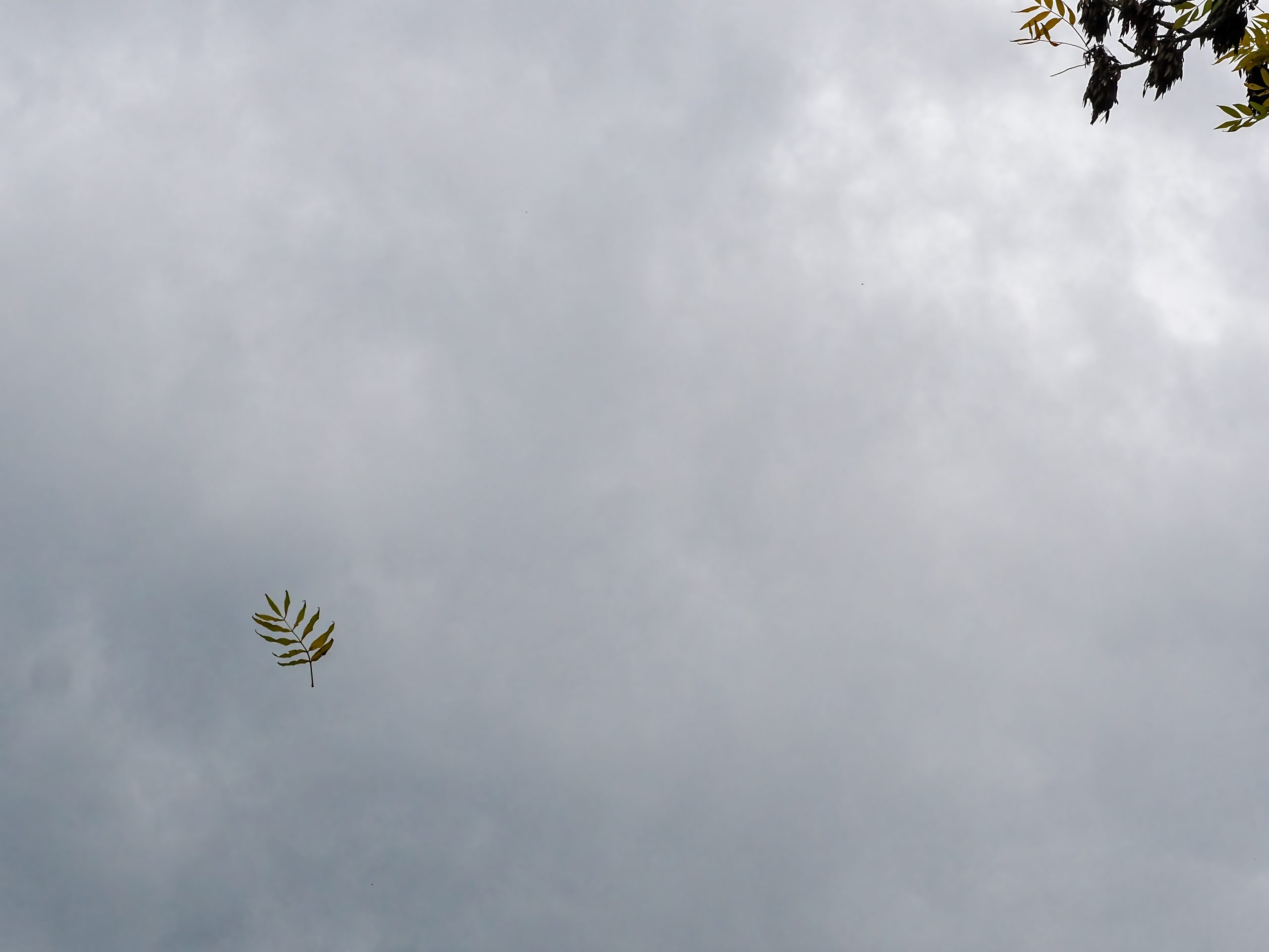 Autumn Photo Challenge Placed Entries