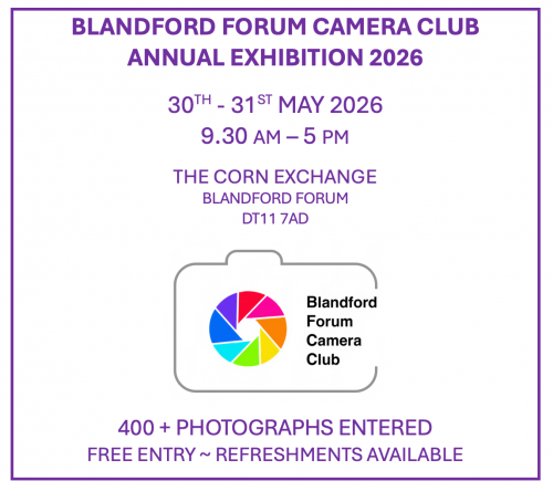 ANNUAL EXHIBITION